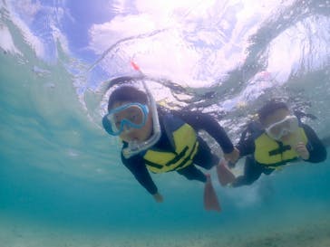 タビワク　宮古島に投稿された画像（2024/6/10）