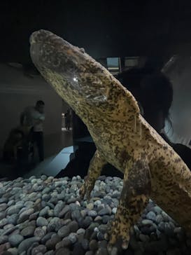 AOAO SAPPOROに投稿された画像（2024/6/10）