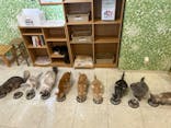 Moff animal world BIGHOPガーデンモール印西店に投稿された画像（2024/6/10）