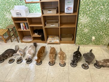 Moff animal world BIGHOPガーデンモール印西店に投稿された画像（2024/6/10）