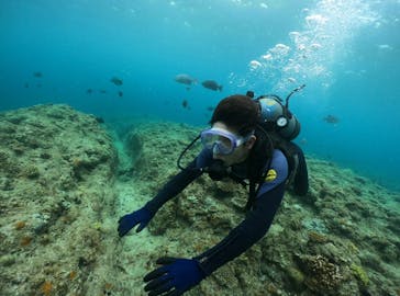 武藤潜水に投稿された画像（2024/6/10）