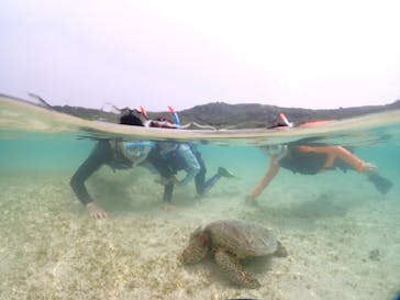 宮古島マリンショップSmileyに投稿された画像（2024/6/10）