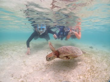 宮古島マリンショップSmileyに投稿された画像（2024/6/10）