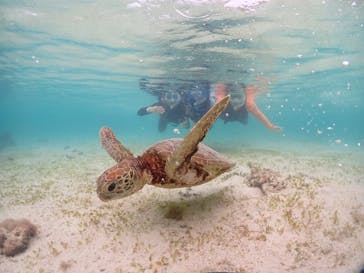 宮古島マリンショップSmileyに投稿された画像（2024/6/10）