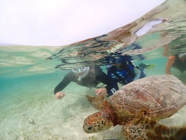 宮古島マリンショップSmileyに投稿された画像（2024/6/10）