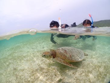 宮古島マリンショップSmileyに投稿された画像（2024/6/10）