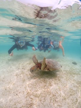 宮古島マリンショップSmileyに投稿された画像（2024/6/10）