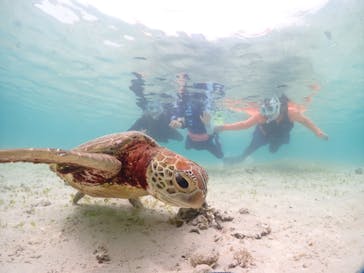 宮古島マリンショップSmileyに投稿された画像（2024/6/10）