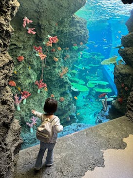 鴨川シーワールドに投稿された画像（2024/6/10）