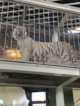 NIFREL（ニフレル）に投稿された画像（2024/6/10）