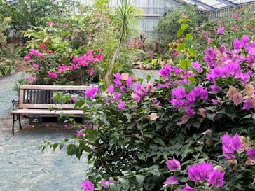 西表島 ADVENTURE PiPi（アドベンチャーピピ）に投稿された画像（2024/6/10）