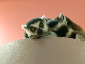 アニタッチアクアシティお台場に投稿された画像（2024/6/10）