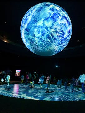 NIFREL（ニフレル）に投稿された画像（2024/6/10）