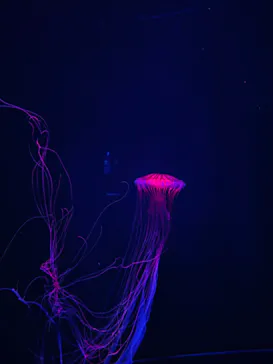 すみだ水族館に投稿された画像（2024/6/10）