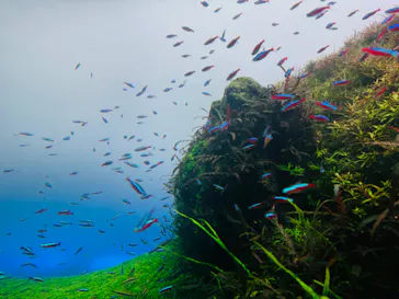 すみだ水族館に投稿された画像（2024/6/10）