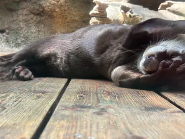 仙台うみの杜水族館に投稿された画像（2024/6/10）