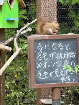 仙台うみの杜水族館に投稿された画像（2024/6/10）