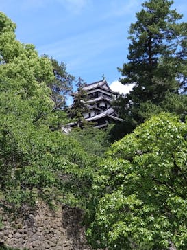 松江城に投稿された画像（2024/6/10）