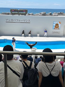 鴨川シーワールドに投稿された画像（2024/6/8）