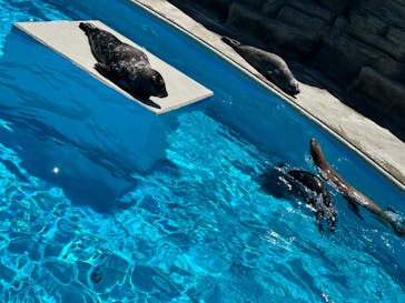 鴨川シーワールドに投稿された画像（2024/6/8）