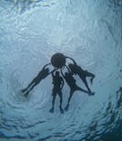 宮古島 ADVENTURE PiPi（ミヤコジマ アドベンチャー ピピ）に投稿された画像（2024/6/10）