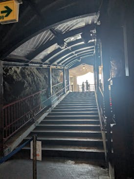 江の島岩屋に投稿された画像（2024/6/10）