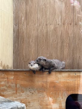 横浜・八景島シーパラダイスに投稿された画像（2024/6/10）