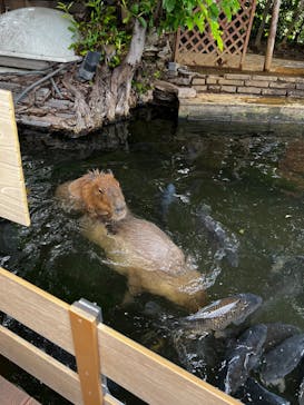 横浜・八景島シーパラダイスに投稿された画像（2024/6/10）