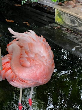 横浜・八景島シーパラダイスに投稿された画像（2024/6/10）