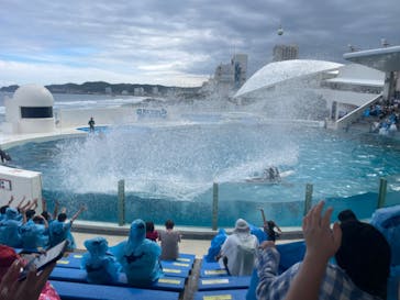 鴨川シーワールドに投稿された画像（2024/6/10）