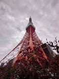 東京タワーに投稿された画像（2024/6/10）