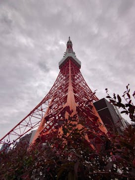 東京タワーに投稿された画像（2024/6/10）