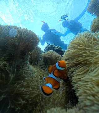 宮古島 ADVENTURE PiPi（ミヤコジマ アドベンチャー ピピ）に投稿された画像（2024/6/10）