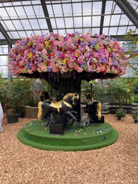 京成バラ園に投稿された画像（2024/6/10）