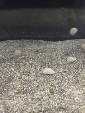 アクアワールド茨城県大洗水族館に投稿された画像（2024/6/10）