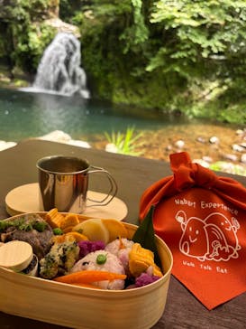 Nabari Experienceに投稿された画像（2024/6/10）