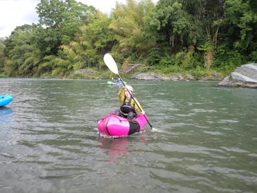 アムスハウス＆フレンズに投稿された画像（2024/6/10）