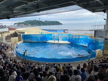 新江ノ島水族館に投稿された画像（2024/6/10）