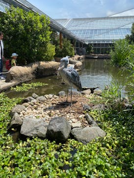 神戸どうぶつ王国に投稿された画像（2024/6/10）