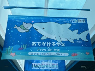 アクアワールド茨城県大洗水族館に投稿された画像（2024/6/10）