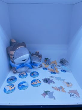 アクアワールド茨城県大洗水族館に投稿された画像（2024/6/10）