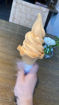 いばらきフラワーパークに投稿された画像（2024/6/10）