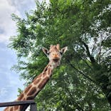 宇都宮動物園に投稿された画像（2024/6/10）