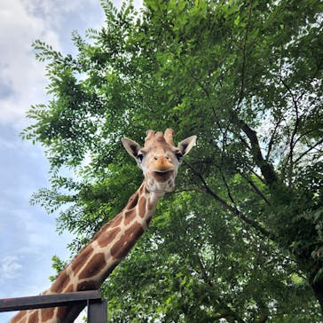 宇都宮動物園に投稿された画像（2024/6/10）