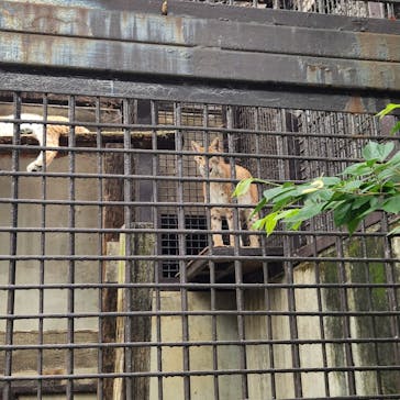 宇都宮動物園に投稿された画像（2024/6/10）