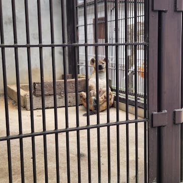 宇都宮動物園に投稿された画像（2024/6/10）