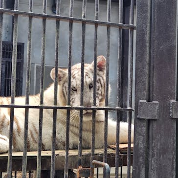 宇都宮動物園に投稿された画像（2024/6/10）