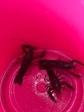 長崎バイオパークに投稿された画像（2024/6/10）