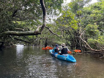 西表島 ADVENTURE PiPi（アドベンチャーピピ）に投稿された画像（2024/6/11）