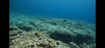 武藤潜水に投稿された画像（2024/6/11）